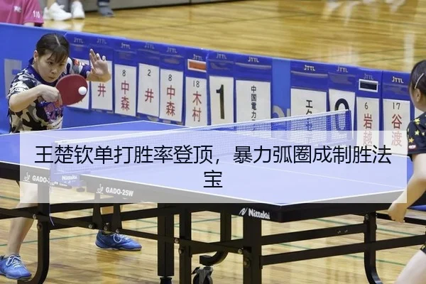 王楚钦单打胜率登顶，暴力弧圈成制胜法宝