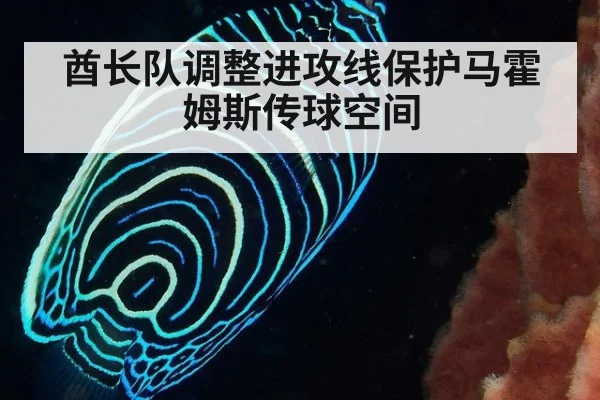 酋长队调整进攻线保护马霍姆斯传球空间