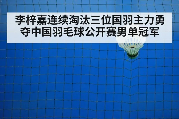 李梓嘉连续淘汰三位国羽主力勇夺中国羽毛球公开赛男单冠军